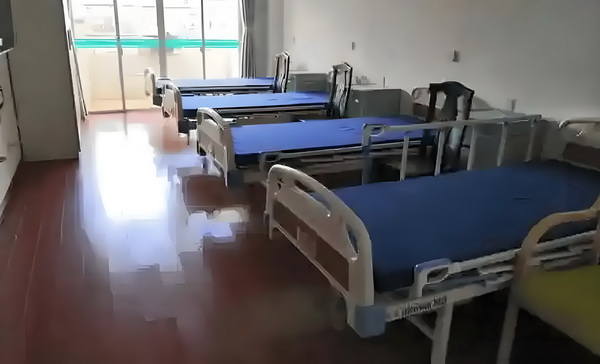 花痴王妃驯夫记