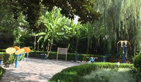 花痴王妃驯夫记