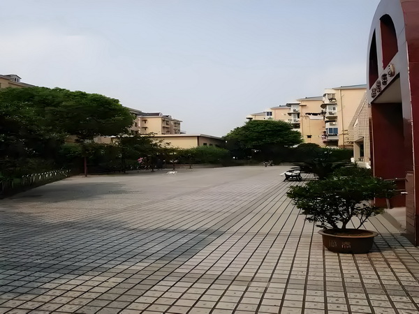 黑道傻后：王爷太霸道